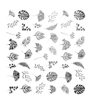 Decorazioni Adesive Per Unghie Water Decals- Peggy Sage