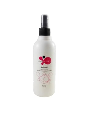 Antisettico Spray Mani 250ml - Labnails