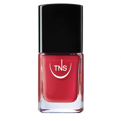 Smalto Tns 10ml -Tecniwork/038 Orient Express