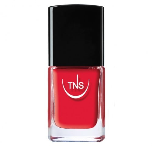 Smalto Tns 10 Ml Tecniwork/458 Best Wishes
