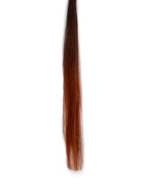 Extension Con Cheratina Shatush 55-60cm 10pz She/T32.130