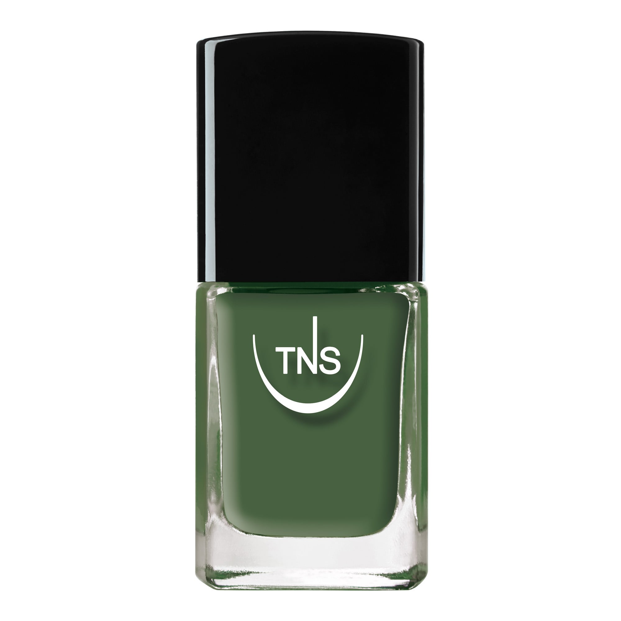 Smalto Tns 10 Ml Tecniwork/520 Wild Island