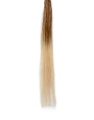 Extension Con Cheratina Shatush 55-60cm 10pz  She/T18.24