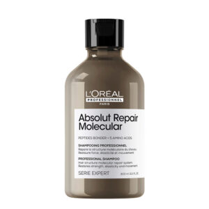 Shampoo capelli danneggiati Absolut Repair Molecular Serie Expert 300ml L'Oreal