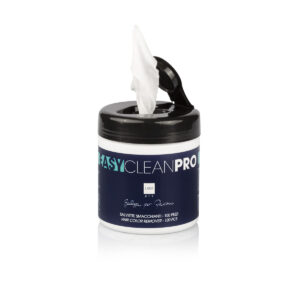 Salviette Smacchianti Easy Clean Pro 100 Pz - Labor