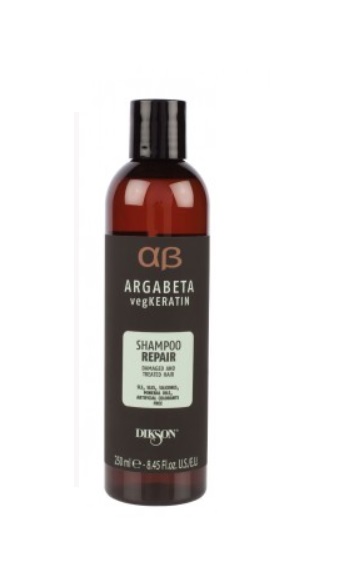 Shampoo riparatore per capelli danneggiati e trattati 250ml Ab Argabeta - Dikson