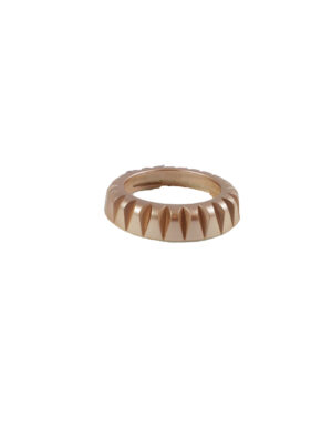 Porta Filtro Per Phon 385 - Advance Oro - Parlux