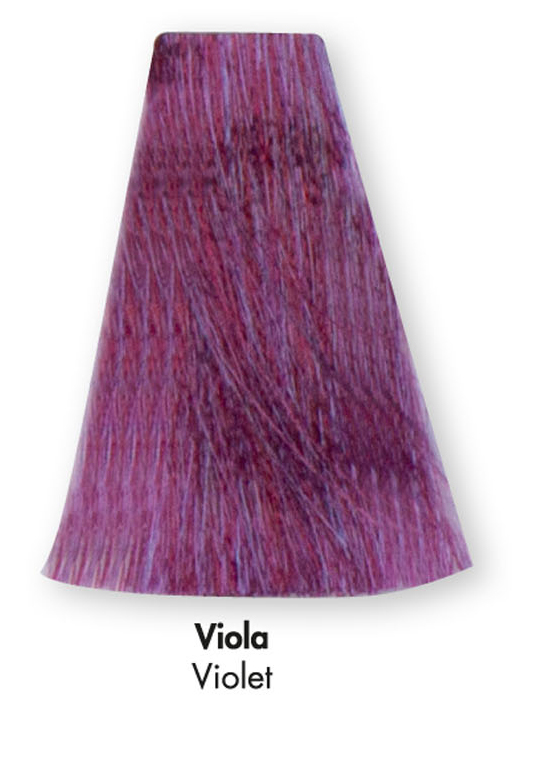 Everygreen Color Plex 100ml - Dikson/Booster Violet - immagine 2