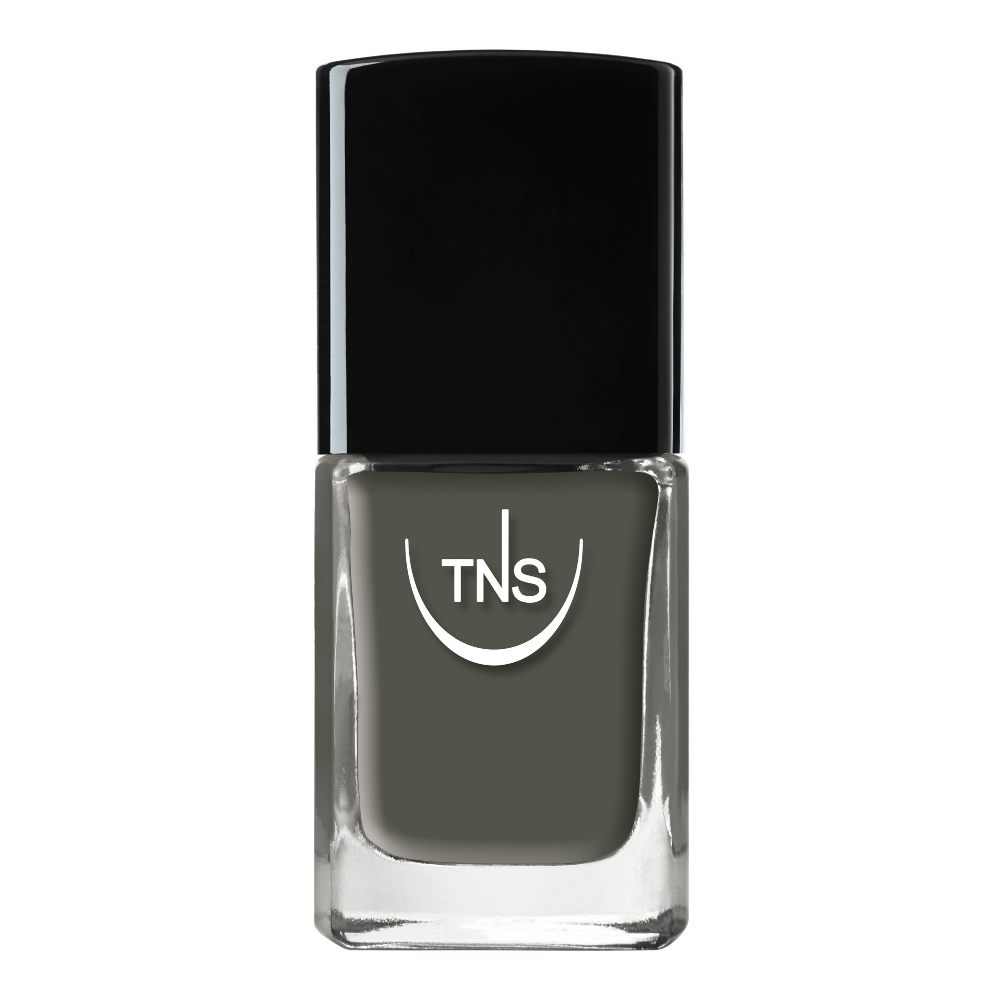 Smalto Tns 10ml -Tecniwork/650 Wild