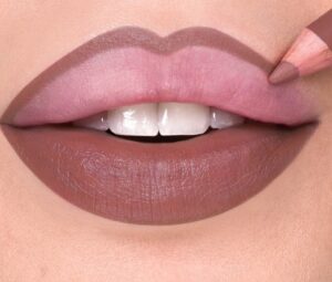 Matita Labbra  Artist Lips Mesauda/101 Fudge
