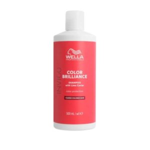 Shampoo per capelli grossi e colorati Color brilliance 500ml - Wella